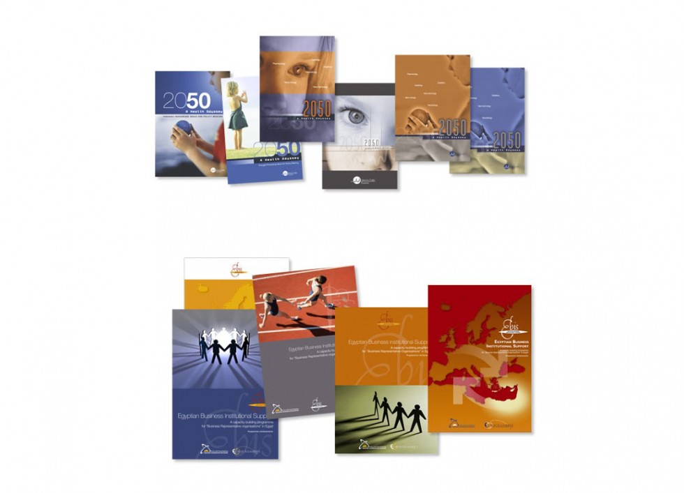 Brochure pour healthfirsteurope. Brochure pour le Egyptian Business Institutional Support.